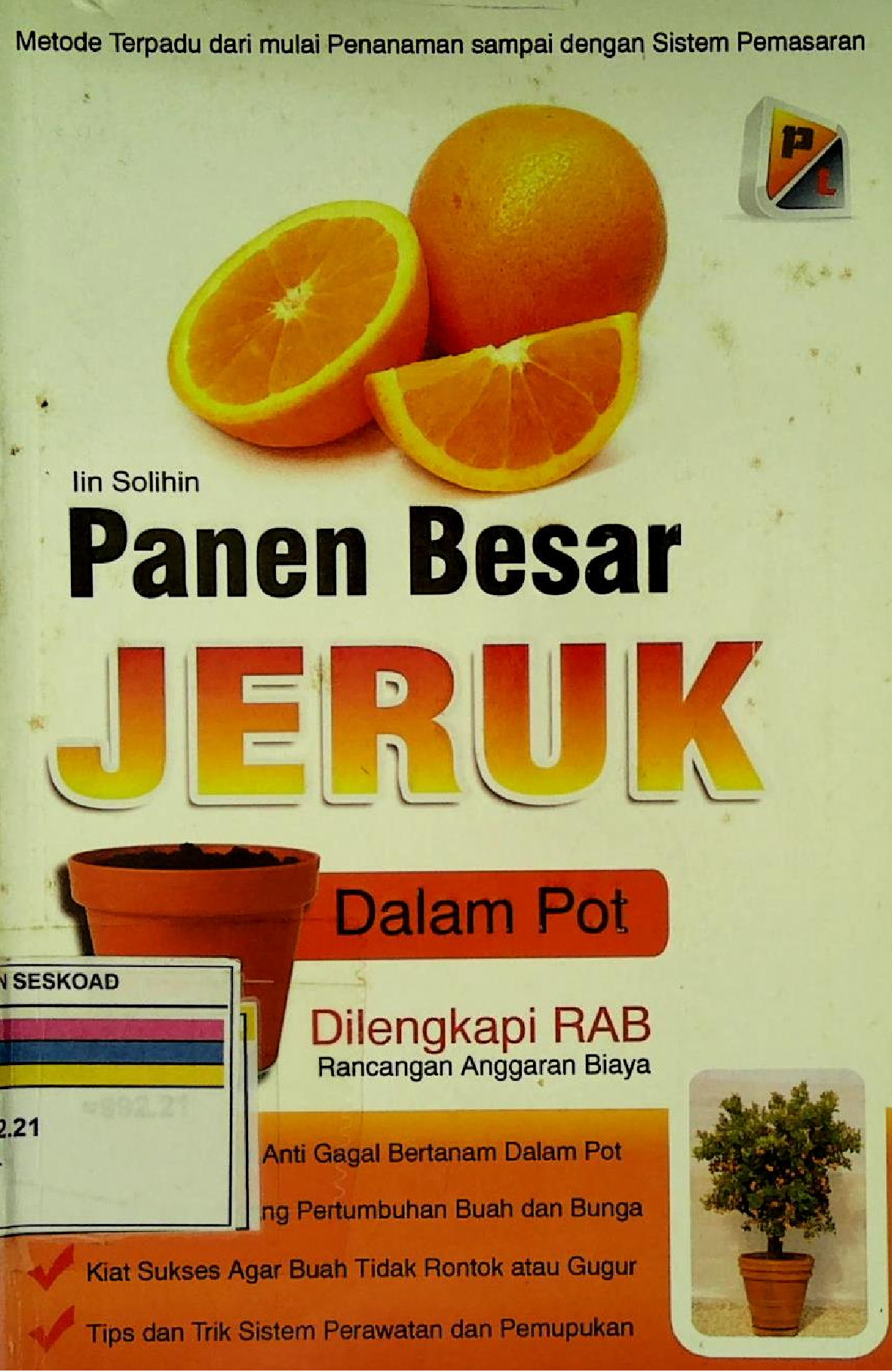 Panen Besar Jeruk Dalam Pot Dilengkapi RAB
